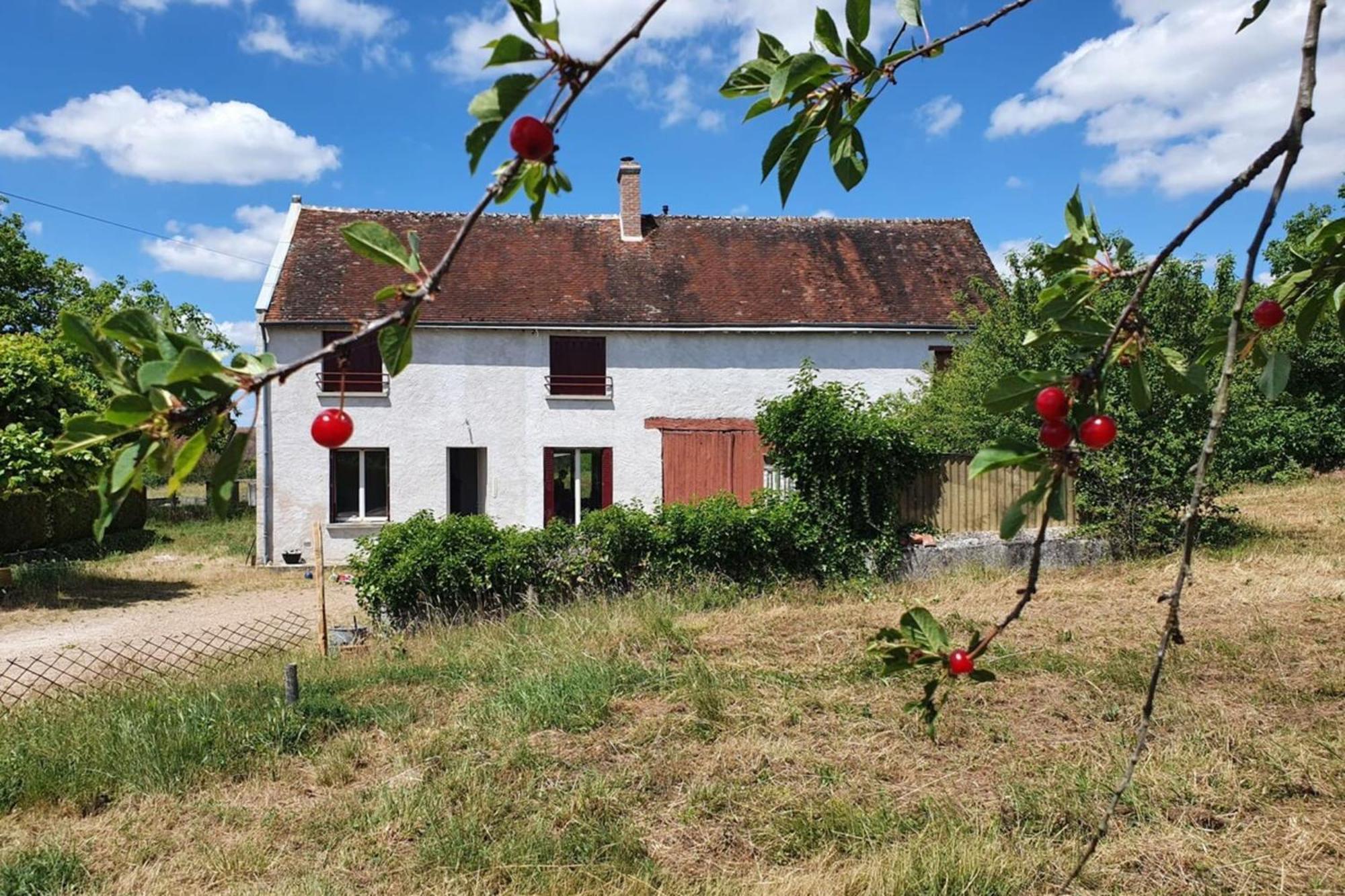 Bel Air Frais Proche Beauval & Chateaux De La Loire Thésée Exteriör bild